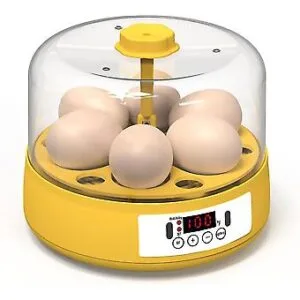 digital mini fully automatic egg incubator