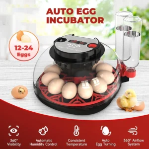 Incubator with Automatic Egg Turning and Humidity Control